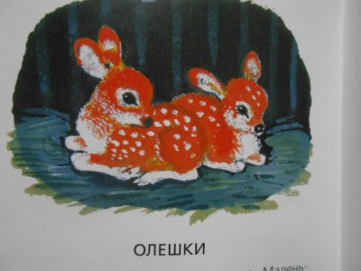 画像1: ロシア子供用絵本・動物・Yevgeny Charushin
