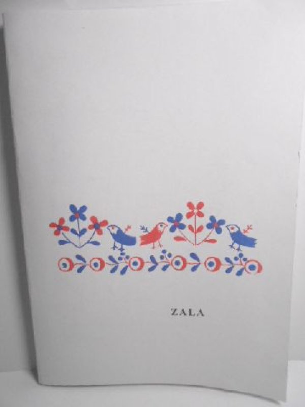 画像1: ザラ県刺繍・図案集/ハンガリー・刺繍・ZALA・パターンコレクション (1)