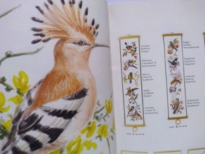 画像1: デンマーク エヴァ・ローゼンスタンド Eva Rosenstand 鳥のクロスステッチキット作品集 クララ・ウェーヴァーClara Waever 図案