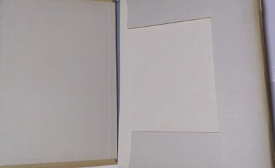 画像2: カロタセグのイーラーショシュ大全/トランシルヴァニア刺繍図案集