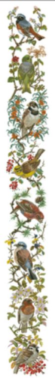 画像2: デンマーク鳥と花枝13-279 Eva rosenstand old eva製キット クロスステッチ ベルプル エヴァ 刺繍  (2)