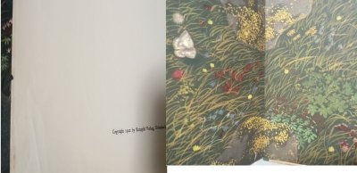 画像3: アルプスの花物語 クライドルフ エルンスト 1922年Alpenblumenmarchen
