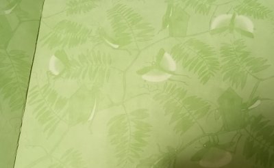 画像2: アンティク クライドルフ大型絵本 バッタ達 1931初