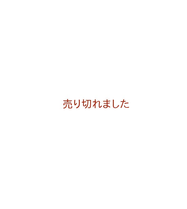 画像1: Sladek detem Adolf Zabransky・アドルフ・ザーブランスキー（絵） (1)
