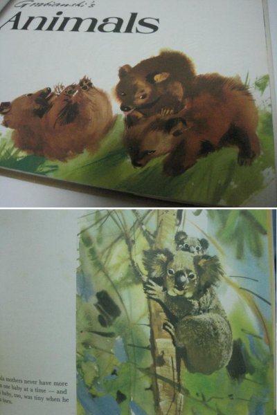 画像1: ヤーヌシ・グラビアンスキー Grabianski's animals　動物 絵本　  