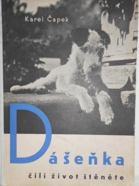 カレル・チャペックの本〜ダーシェンカ・1936年/Dasenka cili zivot 